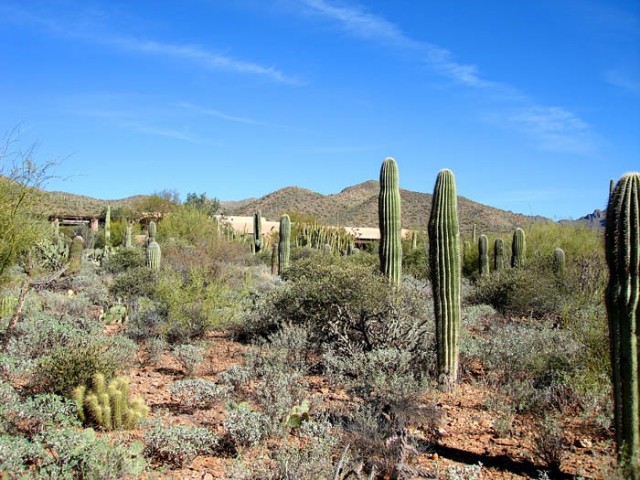Tra-Tel Tucson RV Park - Tucson, AZ - RV Parks