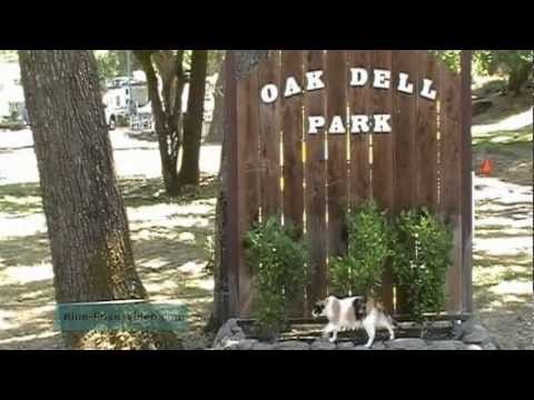 Oak Dell RV Park - Morgan Hill, CA - RV Parks